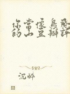 你当像鸟飞往你的山豆瓣评分