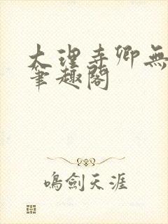 大理寺卿无删改笔趣阁封面