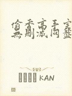 偷香高手完整版无删减网盘