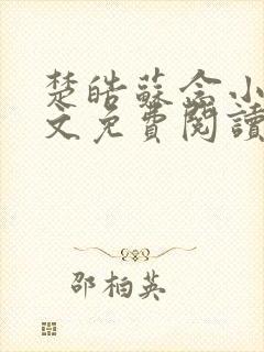 楚皓苏念小说全文免费阅读