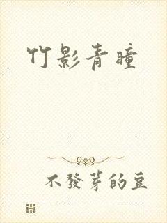 竹影青瞳封面