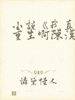 小说《我真没想重生啊陈汉升》