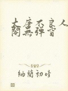 大唐不良人笔趣阁无弹窗