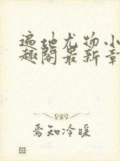 遍地尤物小枪笔趣阁最新章节