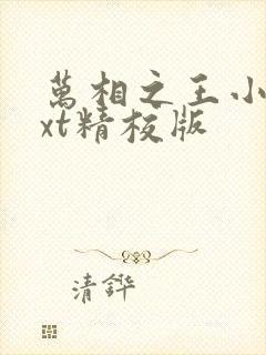 万相之王小说txt精校版