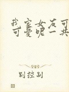 我家女友可不止可爱呢一共多少集封面