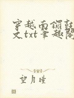 穿越南锣鼓巷全文txt笔趣阁封面