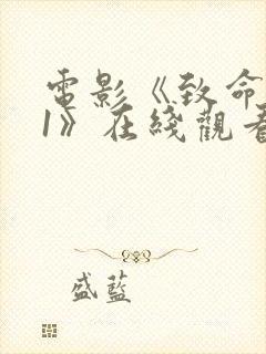 电影《致命黑兰1》在线观看