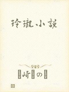 玲珑小说封面