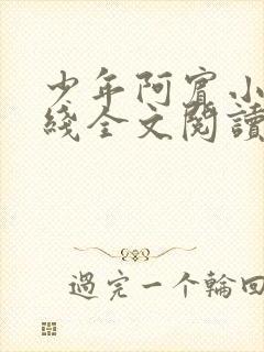 少年阿宾小说在线全文阅读