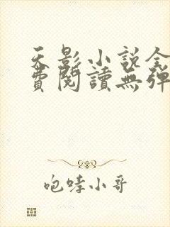 天影小说全文免费阅读无弹窗