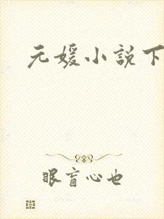 元媛小说下载封面