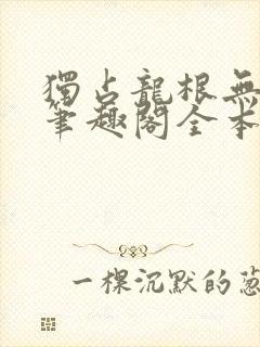 独占龙根无弹窗笔趣阁全本