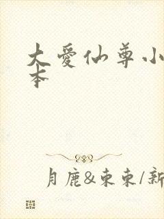 大爱仙尊小说完本