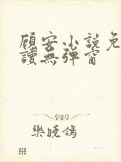 顾安小说免费阅读无弹窗