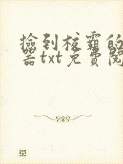 捡到校霸的遥控器txt免费阅读