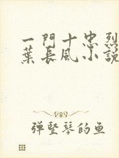 一门十忠烈叶凡叶长风小说名字