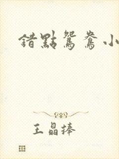 错点鸳鸯小说
