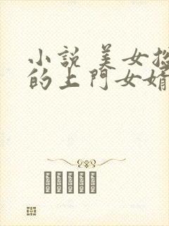 小说 美女总裁的上门女婿