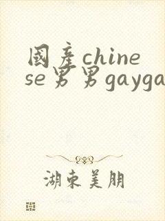 国产chinese男男gaygay网址