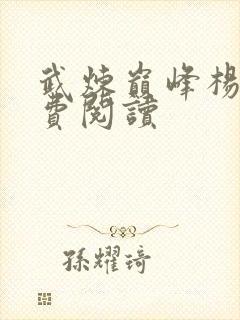 武炼巅峰杨开免费阅读