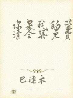 你是我的荣耀高清全集免费观看