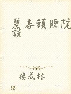 丽春头牌院的小说