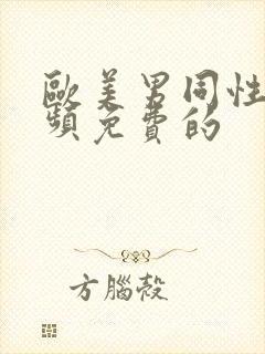 欧美男同性恋视频免费的封面