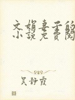 文娟妻子的日记小说免费阅读