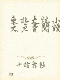 东北大炕小说全文免费阅读