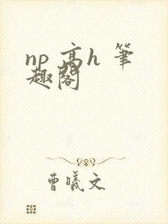 np 高h 笔趣阁