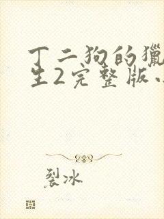 丁二狗的猎艳人生2完整版小说