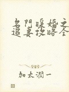 名门暖婚之权爷追妻攻略全文免费阅读