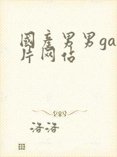 国产男男gay片网站