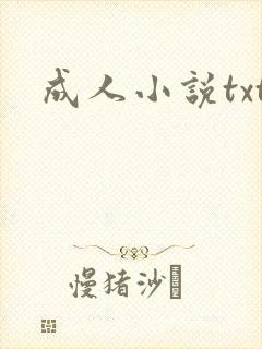 成人小说txt封面
