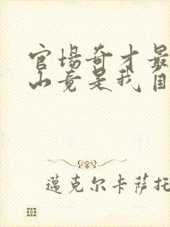 官场奇才最强靠山竟是我自己李澜全本阅读