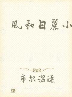 风和日丽小说