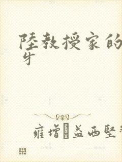 陆教授家的小月牙