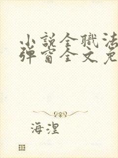 小说全职法师无弹窗全文免费阅读