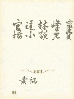 官道林峰宁欣官场小说免费阅读