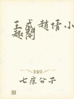 王成赵倩小说笔趣阁