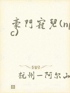 豪门宠儿(npc)封面