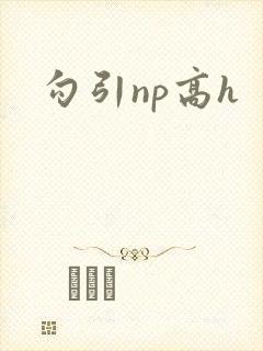 勾引np高h