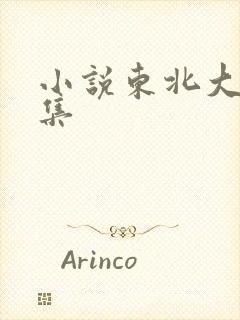 小说东北大炕全集