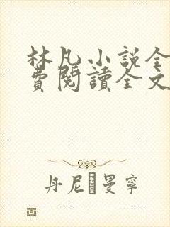 林凡小说全文免费阅读全文封面