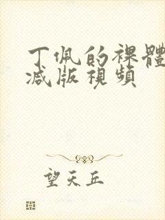 丁佩的裸体无删减版视频