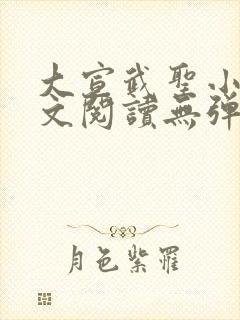 大宣武圣小说全文阅读无弹窗