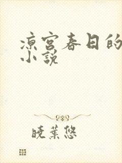 凉宫春日的忧郁小说