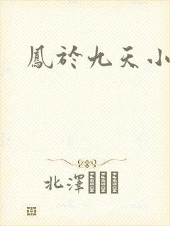 凤于九天小说