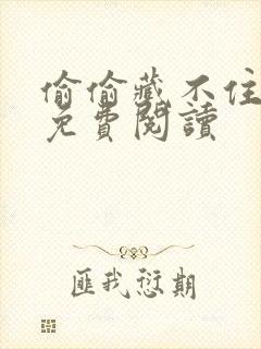 偷偷藏不住小说免费阅读封面